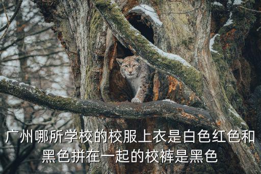 廣州哪所學校的校服上衣是白色紅色和黑色拼在一起的校褲是黑色
