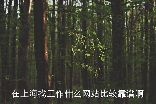 在上海找工作什么網(wǎng)站比較靠譜啊