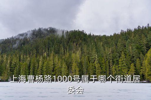 上海曹楊路1000號屬于哪個街道居委會