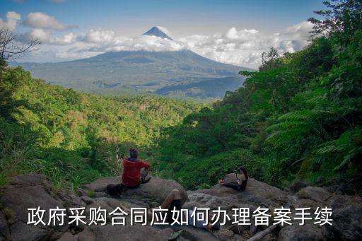 政府采購合同應如何辦理備案手續(xù)