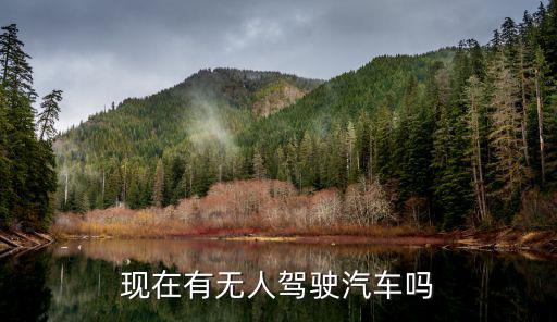 現在有無人駕駛汽車嗎
