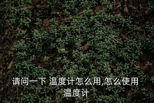 請問一下 溫度計怎么用,怎么使用 溫度計