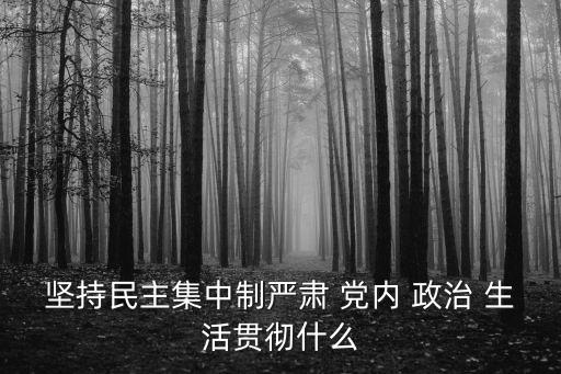 堅持民主集中制嚴肅 黨內 政治 生活貫徹什么