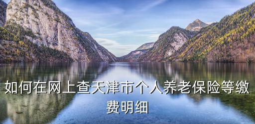 如何在網(wǎng)上查天津市個人養(yǎng)老保險等繳費明細