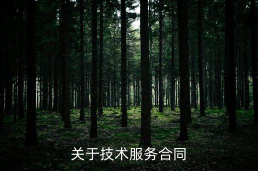 關(guān)于技術(shù)服務(wù)合同