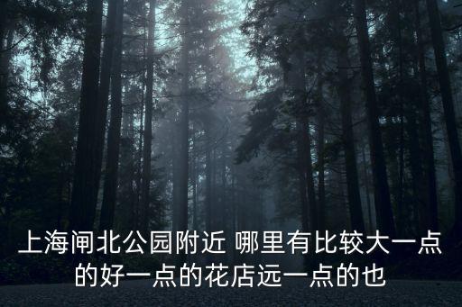 上海閘北公園附近 哪里有比較大一點的好一點的花店遠一點的也