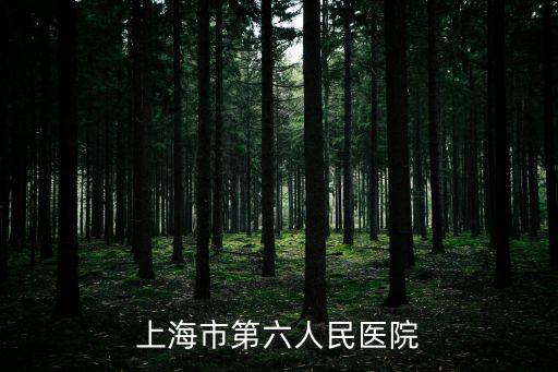 上海市第六人民醫(yī)院
