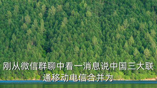 廣州全國試藥招募微信群，剛從微信群聊中看一消息說中國三大聯通移動電信合并為