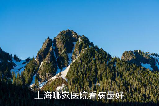 上海哪家醫院看病最好