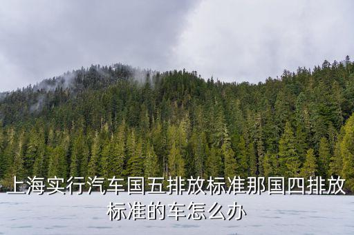 藍天保衛戰 上海市政府，藍天保衛戰的主戰場在哪里