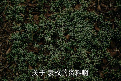 袁枚簡(jiǎn)介,隨緣先生袁枚簡(jiǎn)介