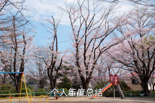 個人年度總結