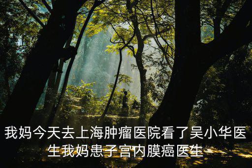 我媽今天去上海腫瘤醫(yī)院看了吳小華醫(yī)生我媽患子宮內(nèi)膜癌醫(yī)生