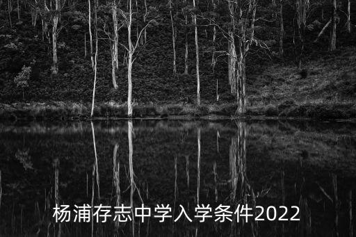 上海市存志中學(xué)楊浦區(qū)，同濟(jì)大學(xué)附屬存志學(xué)校有幾個(gè)