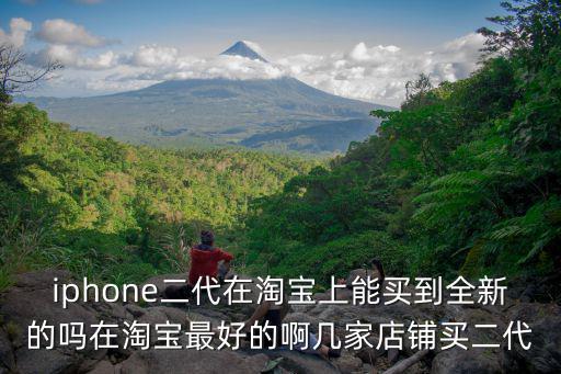 iphone二代在淘寶上能買到全新的嗎在淘寶最好的啊幾家店鋪買二代