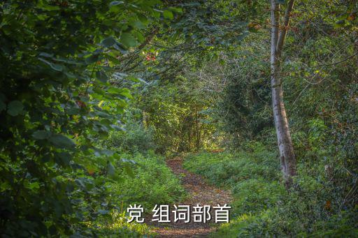 黨怎么組詞,第二集:放蕩黨人的組詞