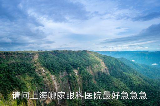 請(qǐng)問上海哪家眼科醫(yī)院最好急急急
