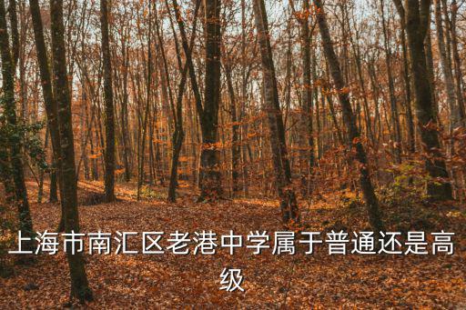 上海市南匯區(qū)老港中學(xué)屬于普通還是高級(jí)