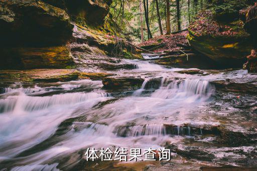 體檢結果查詢