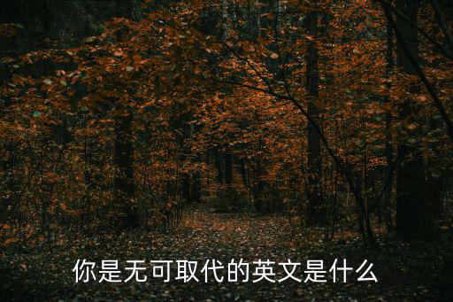你是無可取代的英文是什么