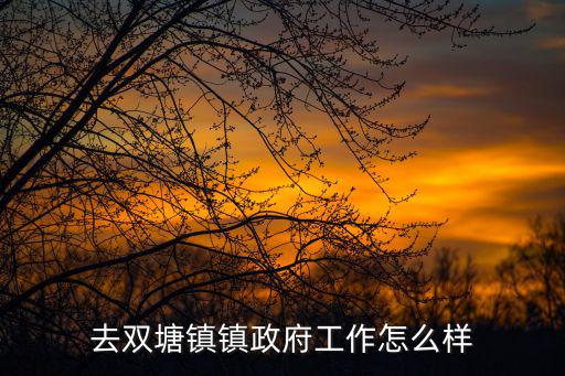 去雙塘鎮鎮政府工作怎么樣