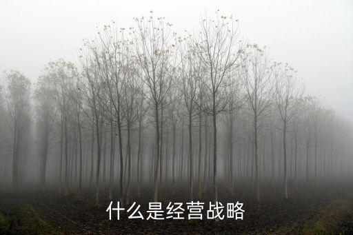 經營戰(zhàn)略，經營戰(zhàn)略的特點
