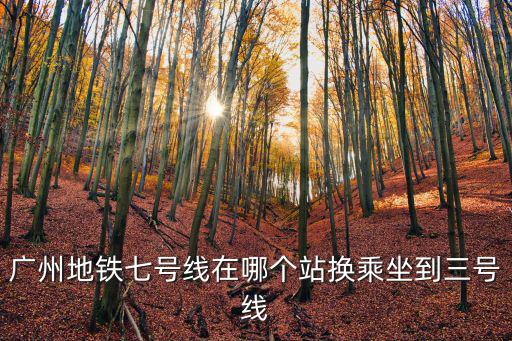 廣州地鐵七號(hào)線在哪個(gè)站換乘坐到三號(hào)線