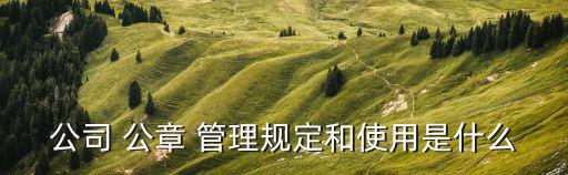 公司 公章 管理規定和使用是什么