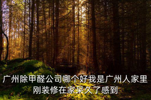 廣州除甲醛師傅排行，廣州專業的除甲醛公司有哪些