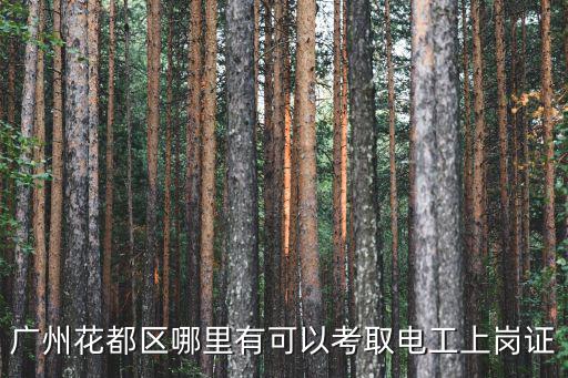 廣州花都區(qū)哪里有可以考取電工上崗證