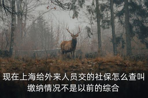 現(xiàn)在上海給外來人員交的社保怎么查叫繳納情況不是以前的綜合