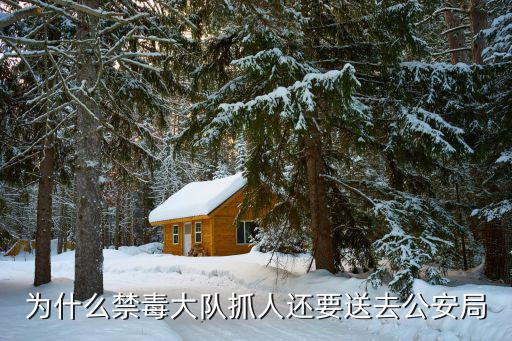 為什么禁毒大隊(duì)抓人還要送去公安局