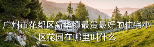廣州市花都區新華鎮最貴最好的住宅小區花園在哪里叫什么