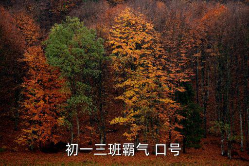 初一三班霸氣 口號(hào)