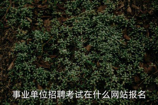 事業單位招聘考試在什么網站報名