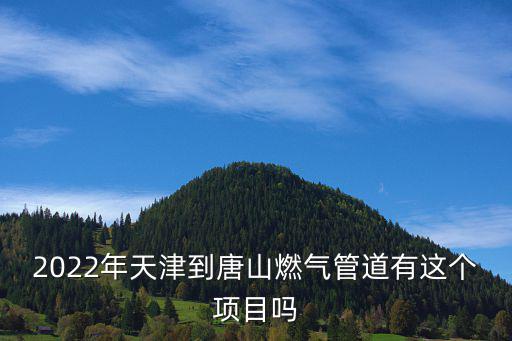 2022年天津到唐山燃氣管道有這個項目嗎