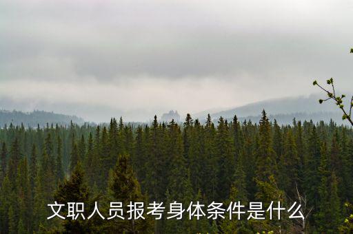文職人員報(bào)考身體條件是什么