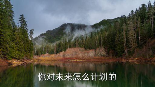 你對未來怎么計劃的