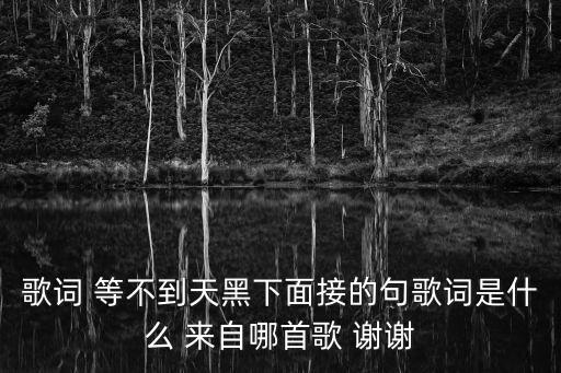 歌詞 等不到天黑下面接的句歌詞是什么 來自哪首歌 謝謝