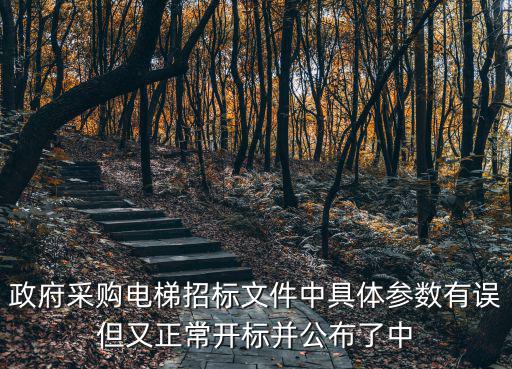 政府采購電梯招標文件中具體參數有誤但又正常開標并公布了中