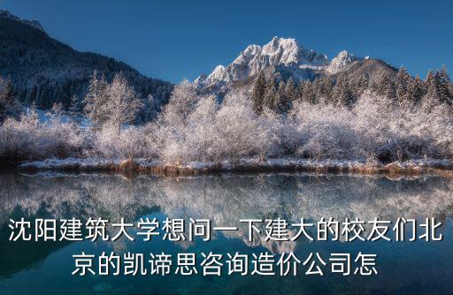 沈陽建筑大學想問一下建大的校友們北京的凱諦思咨詢造價公司怎