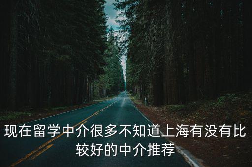 現在留學中介很多不知道上海有沒有比較好的中介推薦