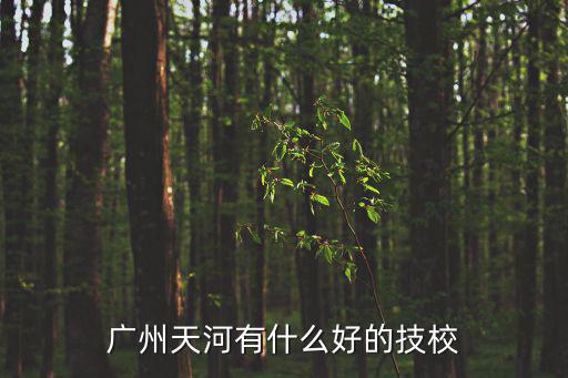 廣州的天河區(qū)技校，廣州天河區(qū)有什么職業(yè)技校