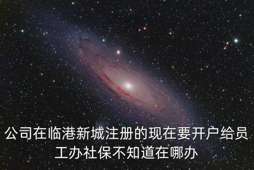 公司在臨港新城注冊的現在要開戶給員工辦社保不知道在哪辦