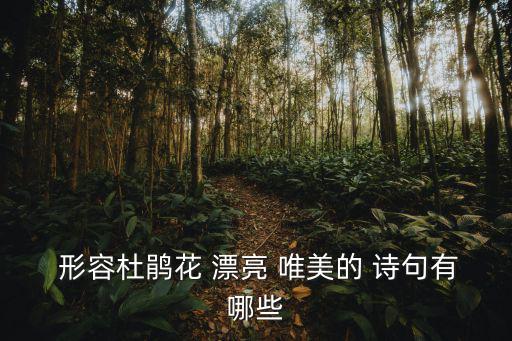 形容花漂亮唯美的詩句,我和你一起喝完這杯酒