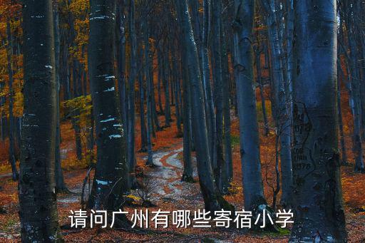請(qǐng)問廣州有哪些寄宿小學(xué)