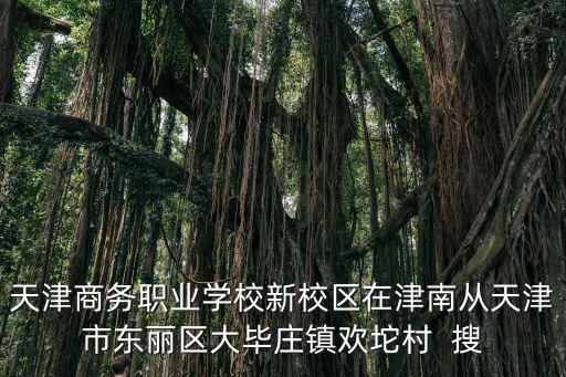 天津商務(wù)職業(yè)學(xué)校新校區(qū)在津南從天津市東麗區(qū)大畢莊鎮(zhèn)歡坨村  搜