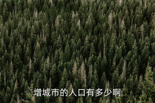 增城市的人口有多少啊