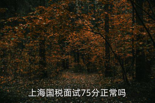 上海國稅面試75分正常嗎