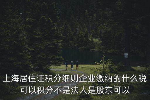 上海居住證積分細則企業(yè)繳納的什么稅可以積分不是法人是股東可以